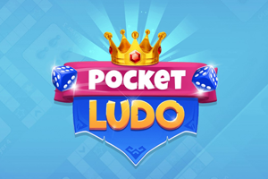 ANEVA GAMES PRIVATE LIMITED